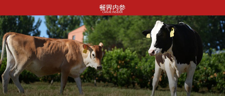 从国民小吃到“钱包刺客”，麻辣烫升级是个伪命题？