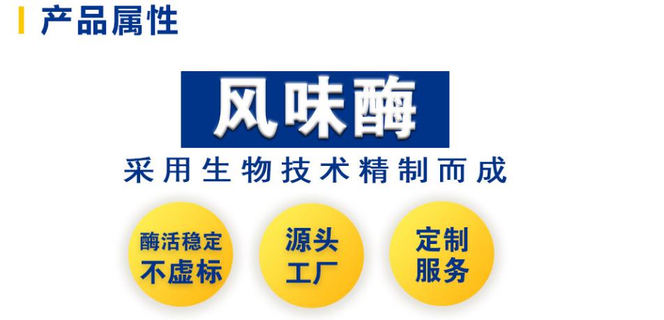 东恒华道食品级风味酶 氨肽酶氨基肽酶 去苦味3万u外切风味蛋白酶